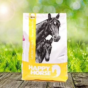 Happy_Horse_Snac_4e1da07908192.jpg